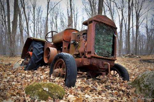old rusted tractor in a forest