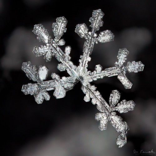 snowflake with one branch missing