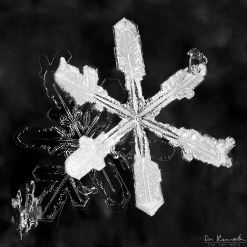 Glare from the flash makes the surface of this snowflake glow brilliantly