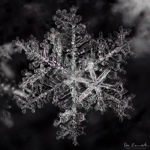 A snowflake with elegant and elaborate details fit for royalty
